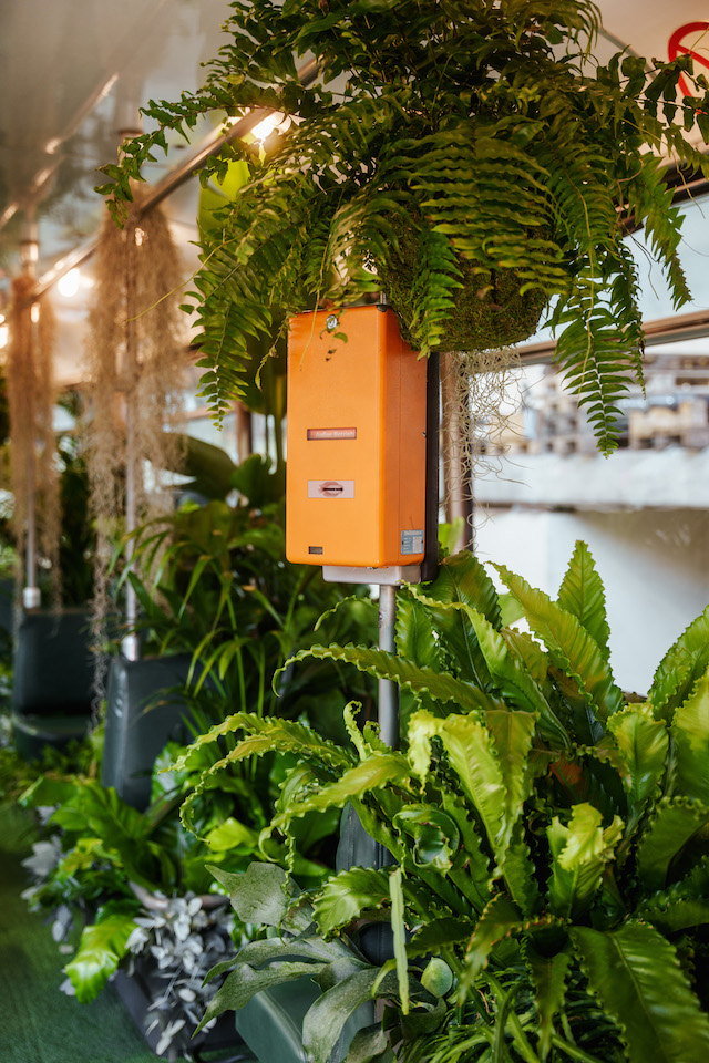 Bild "stadtbahn_2.jpg"