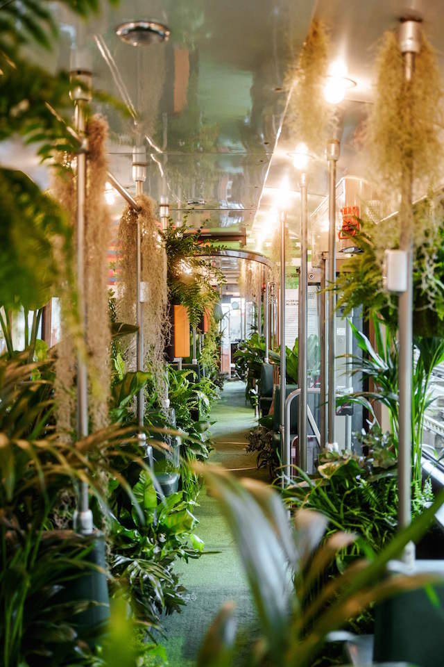 Bild "stadtbahn_4.jpg"